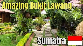 Thumbnail: Bukit Lawang: Our First Impressions Of This Stunning Village!
