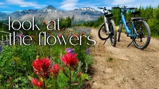 Thumbnail: Montana Boondocking in the Wilderness | Hiking, Biking & Wildflowers