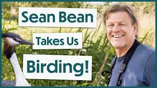 Thumbnail: 30+ Minutes of Relaxing Birdwatching Ambience & Heartfelt Chat! | BEST of Get Birding with Sean Bean
