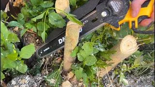 Thumbnail: Chainsaw Review: Pros & Cons After First Use