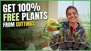 Thumbnail: 9 monsoon Plant cuttings you need today 🌧️ | Dont buy in July