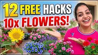 Thumbnail: 12 Free Indian Garden Hacks for 10x More Flowers! 🌿🇮🇳
