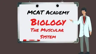 Thumbnail: MCAT ACADEMY - BIOLOGY: THE MUSCULAR SYSTEM