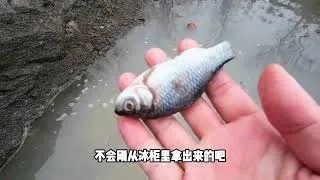 Thumbnail: Unbelievable! Petrified Egg Found in Stone Crack