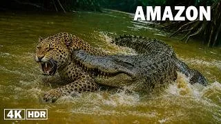 Thumbnail: WILD AMAZON: Deadly Predators and Their Secret Weapons | 4K Wildlife Documentary