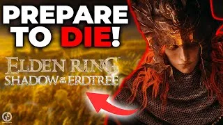 Thumbnail: How To Get Prepared For The Elden Ring DLC As Fast As Possible!