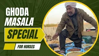 Thumbnail: Ghode di sehat da raaj masala 🫚🧿 JAMIL KHAN MASALE WALA9988025882