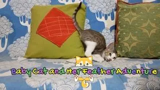 Thumbnail: Baby Cat and Her Feather Adventure