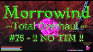 Thumbnail: * * NO COMMENTARY :( * * Let's Play Morrowind in 2026 -- OpenMW Total Overhaul Mod List #075