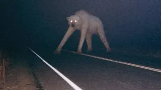 Thumbnail: Cosmic Horrors of the SCP Foundation