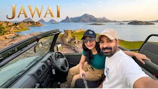 Thumbnail: wildest safari of India😍unseen JAWAI 🐆with our new Insa360 X6 Camera📷
