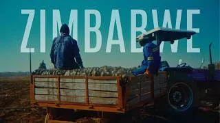 Thumbnail: ZIMBABWE 🇿🇼 Through My Lens | Cinematic Diary | Shot on Lumix S9 + TTArtisan 40mm f/2