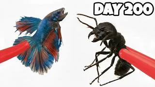 Thumbnail: 1,000 Ants Attack a Fish! 😱 Epic Ant Colony Simulation  // ANTTREK