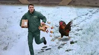 Thumbnail: When the Delivery Driver Is Every Animal's Favorite Visitor ❤️
