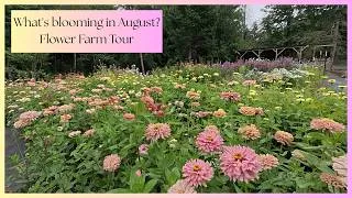 Thumbnail: August Flower Farm & Garden Tour. Peak Summer Blooms + The First Signs of Fall
