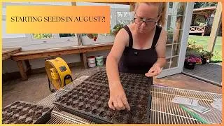 Thumbnail: Why I’m Starting Hardy Annuals in August! | Timing, Method & Beating the Heat