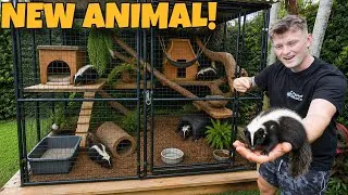 Thumbnail: BUYING A NEW EXOTIC ANIMAL!