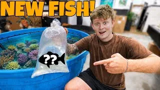 Thumbnail: I WAS SURPRISED WITH A NEW FISH!