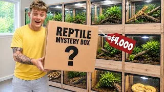 Thumbnail: I WAS SENT A $3,500 REPTILE MYSTERY BOX!