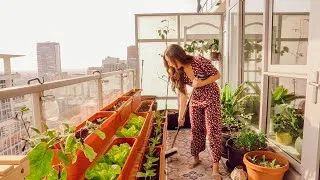 Thumbnail: How to Grow a THRIVING Food Garden!