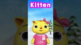Thumbnail: 3 Little Kittens 🐱 Girl Power Kids Show 👑#short