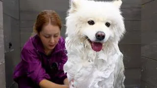 Thumbnail: They Warned Me She Was Difficult...Watch What Happened