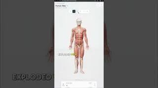 Thumbnail: Human Atlas: a 3D anatomy viewer where an exploded view pulls the body apart to show how it fits