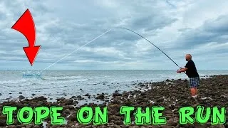 Thumbnail: Very HARD FIGHTING FISH wants to TAKE LINE 🦈 ❗️