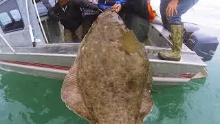 Thumbnail: Glacier Bay Country Inn | Luxury Alaska Fishing Lodge | Gustavus, Alaska