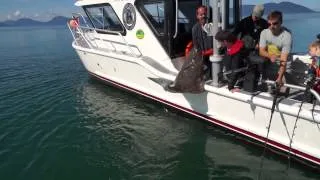 Thumbnail: Fishing Charters in Gustavus Alaska in Icy Strait and Glacier Bay | Glacier Bay Country Inn