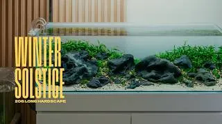 Thumbnail: Ultum Nature Systems UNS 90L Long Planted Aquarium Planting