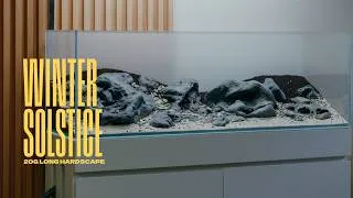 Thumbnail: 20g Long Planted Aquarium Iwagumi Hardscape