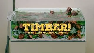 Thumbnail: Ultum Nature Systems UNS 60S Shallow Planted Aquarium Planting