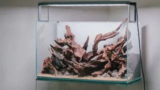 Thumbnail: Aquascaping and planted tank prep on a cozy Saturday morning