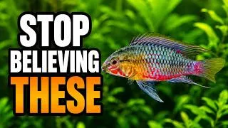 Thumbnail: Stop Believing These Aquarium Myths!