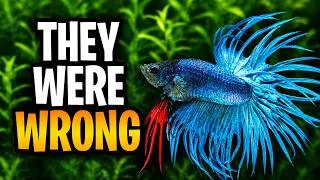 Thumbnail: The Biggest Lie About Walstad Method Tanks!