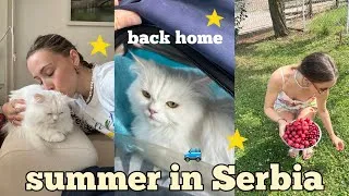 Thumbnail: i came home to Serbia after 6 months abroad 🇷🇸🐈 // family time, my baby cat & mini summer trips