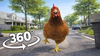 Thumbnail: Angry Chicken Chase (360° POV)