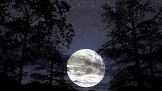 Thumbnail: Vincent (Starry Starry Night) - Don McLean