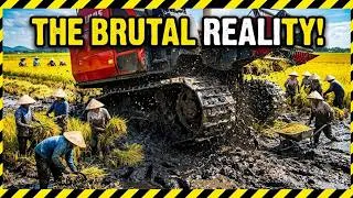 Thumbnail: Massive Modern Agriculture Machines: Iron Beasts Conquering the Swamps!