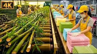 Thumbnail: inside the modern bamboo manufacturing process from tree to product