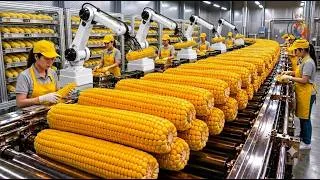 Thumbnail: How Billions of Sweet Corn Become Delicious Canned Corn Milk