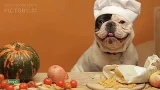 Thumbnail: What's the Best Food for Dogs?  #dogfood   جو کتے کے لیے بہترین خوراک ہے۔#food  #homemadefood #dog