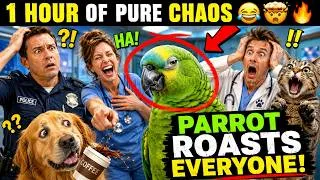 Thumbnail: Parrot vs Police, Doctors & Cats | 1 HOUR of Pure Chaos 🦜