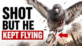 Thumbnail: The War Pigeon Who Saved 200 Lives — The True Story of Cher Ami