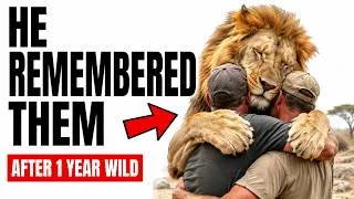 Thumbnail: They Bought a Lion at Harrods — Then He Remembered Them Years Later