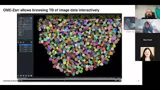 Thumbnail: Towards interoperable bioimage analysis at scvale with OME-Zarr