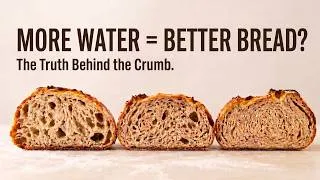 Thumbnail: How Water Affects the Crumb of Bread