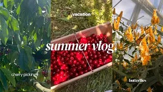 Thumbnail: summer vlog. 🍒🦋🌊