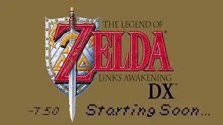 Thumbnail: LADX 2024 Any% No WW/OoB Tournament Day 2